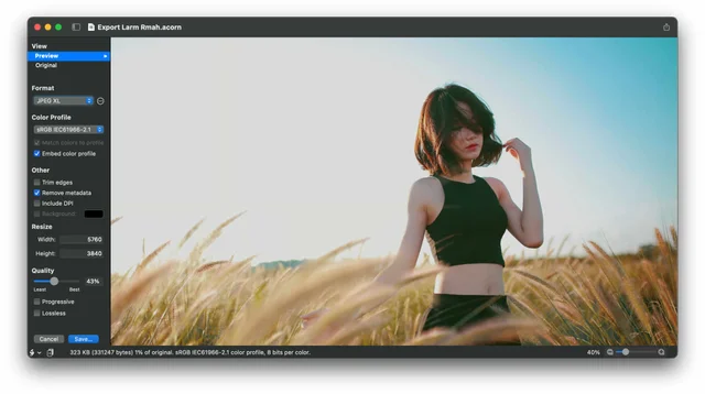 Acorn screenshot