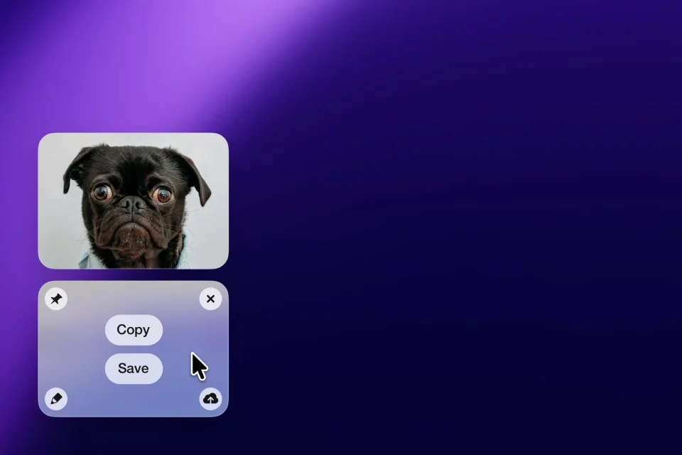 CleanShot X screenshot 4