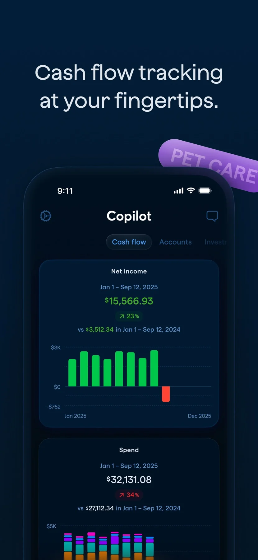 Copilot screenshot 2