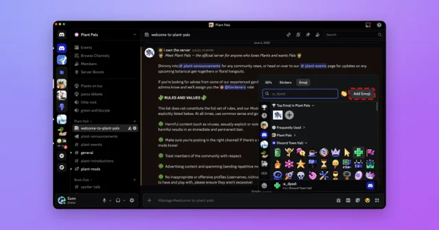 Discord screenshot