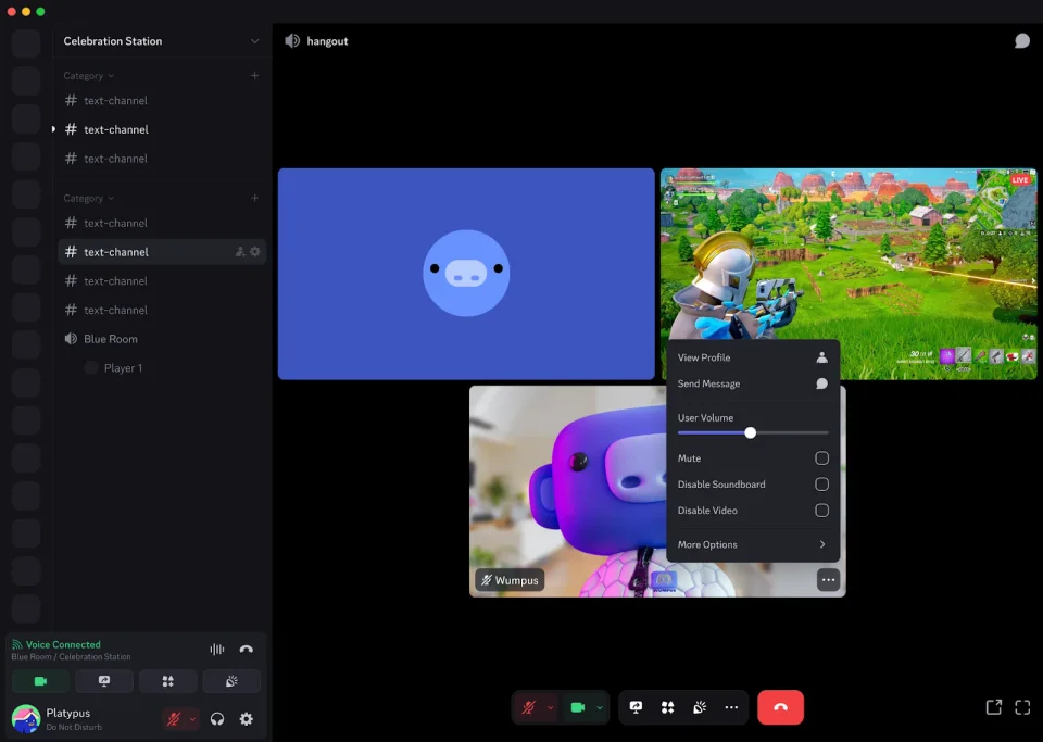 Discord screenshot 3