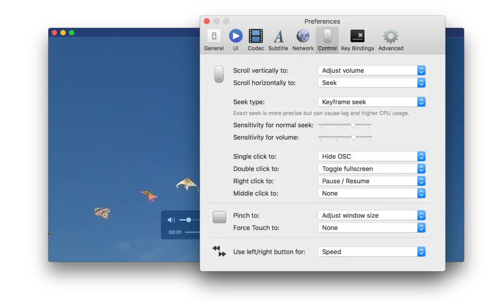 IINA screenshot 6