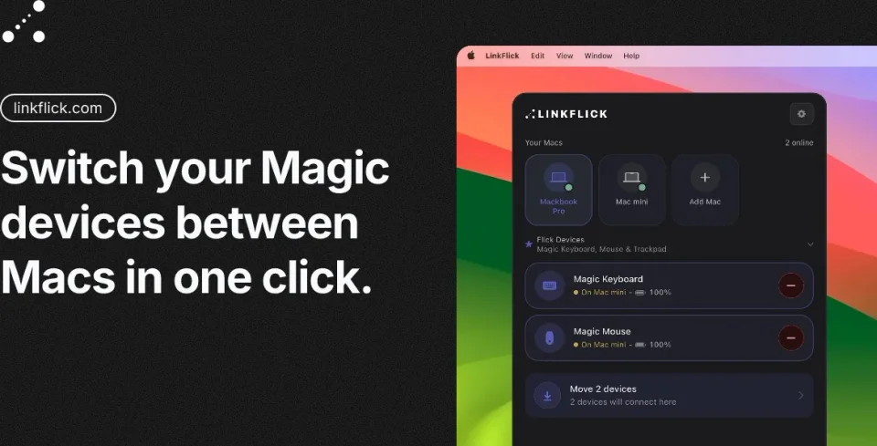 LinkFlick screenshot 2