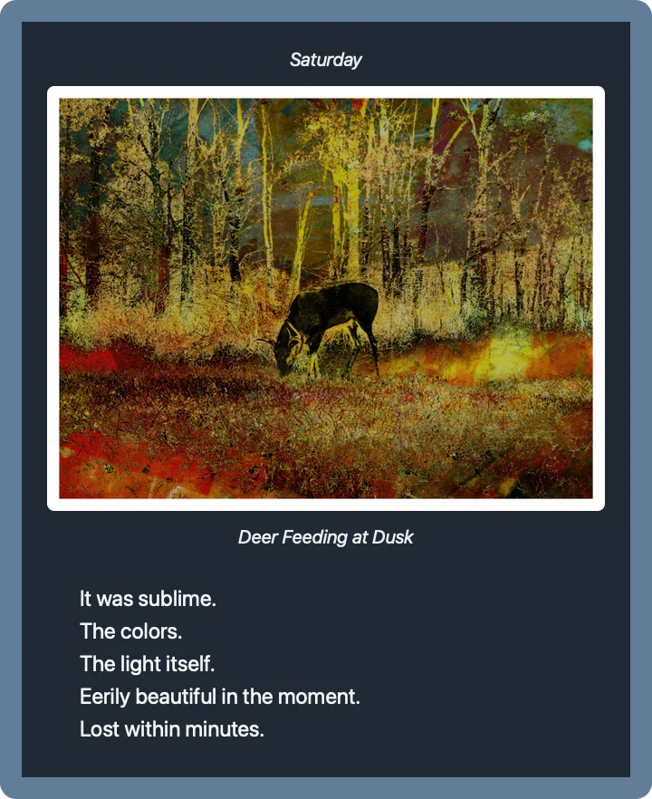 Longform Box screenshot 2