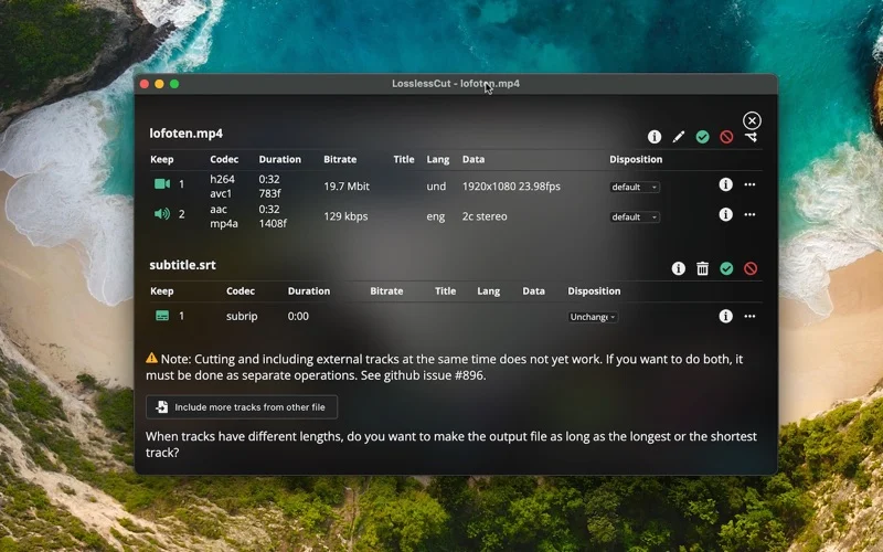 LosslessCut screenshot 4