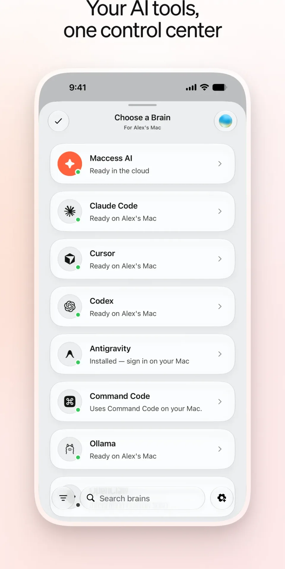 Maccess screenshot 4