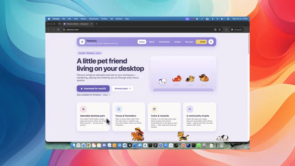 Petnunu Desktop screenshot 2