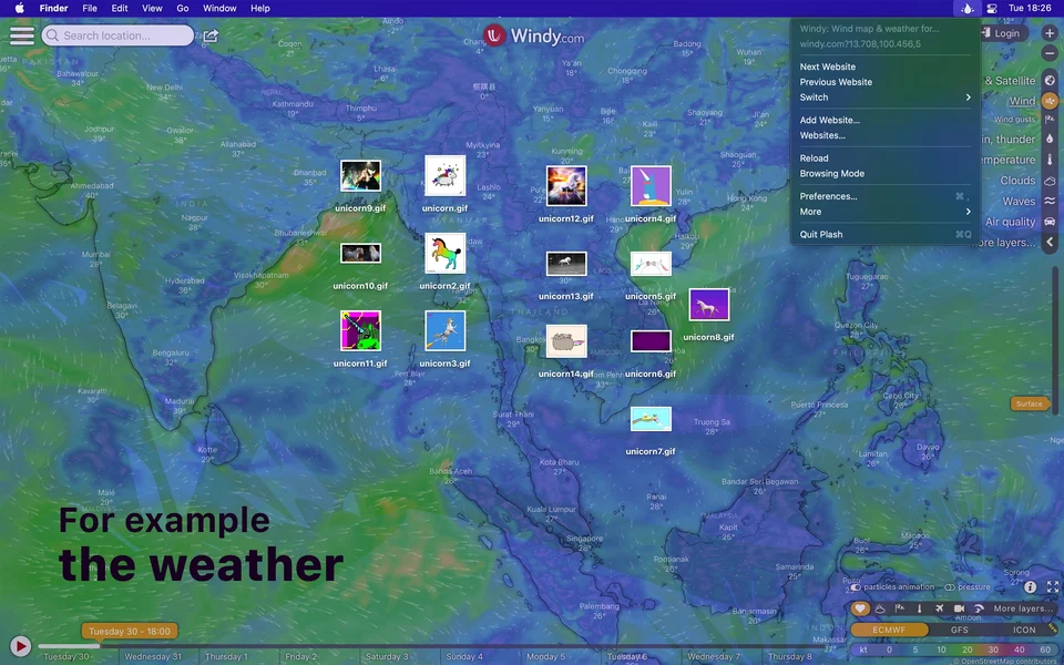 Plash screenshot 3